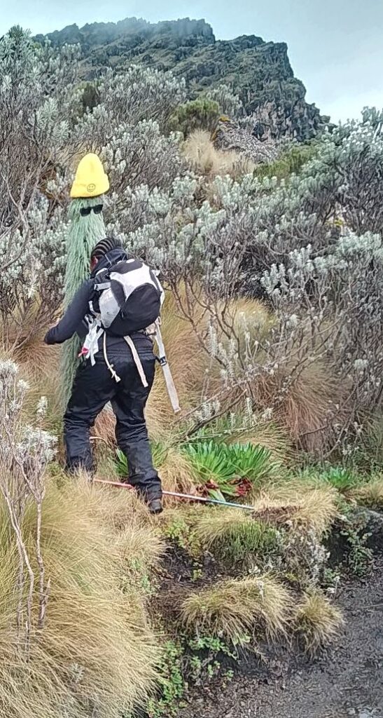 scanned 20251126 1652 22 scanned 20251126 1652 22